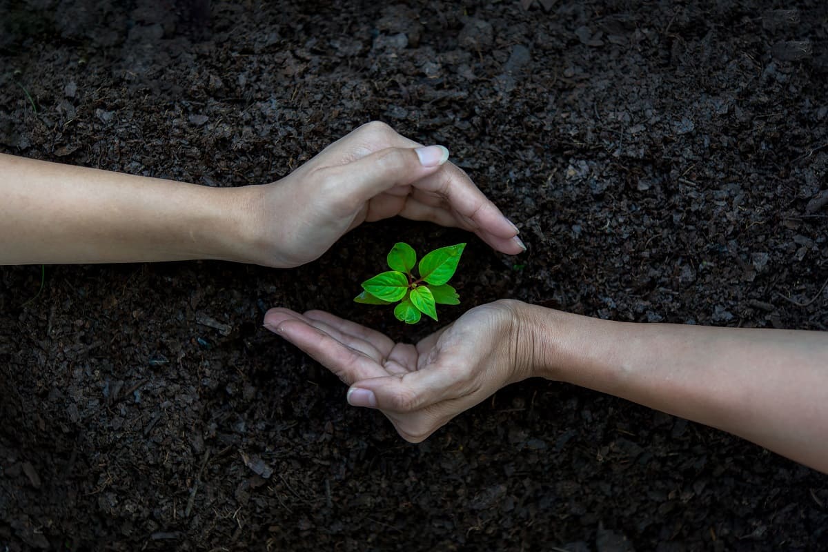 Combat Climate Change Sustainable Living CIMB